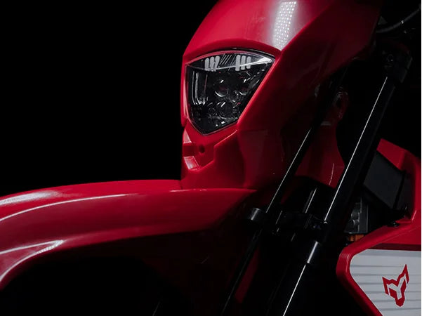 V Arctic Leopard Electric Motorcycle Cheetah E XE800 High Power Bike