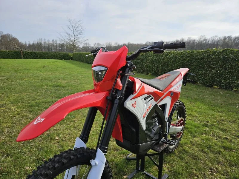 V Arctic Leopard Electric Motorcycle Cheetah E XE800 High Power Bike