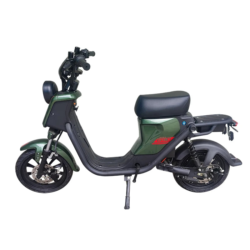 Factory,14 Inch,Household Electric Bike,800W Electric Motorcycle,Rider Cargo E-bike,48V Lithium Battery Electric Bicycle,OEM