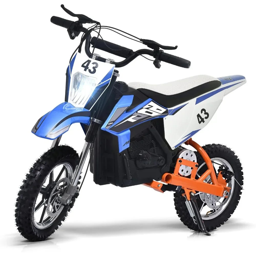 Electric Bike36V 650W Kids Off-Road Motocross Ultra Powerful Motorcycle, with 17MPH MAX Speed,Dual Suspension E BIKE