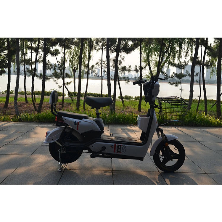 Y2-GE bike electric ebike family e bicycle lithium battery 48v 12a electric motorcycle with pedal